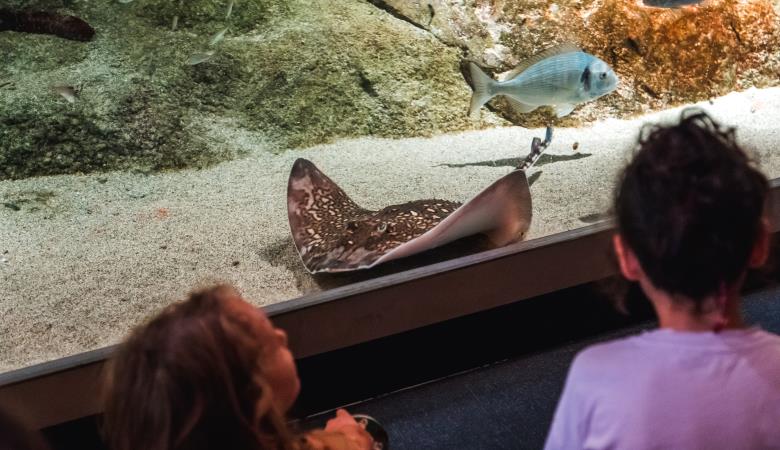 Biodiversarium (1)