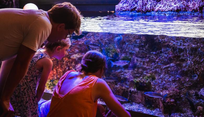 Biodiversarium (4)