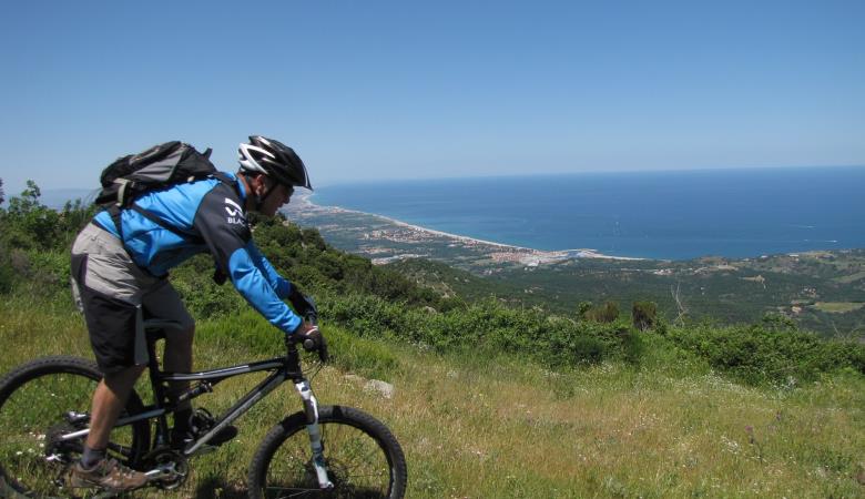 Blue Bear VTT2
