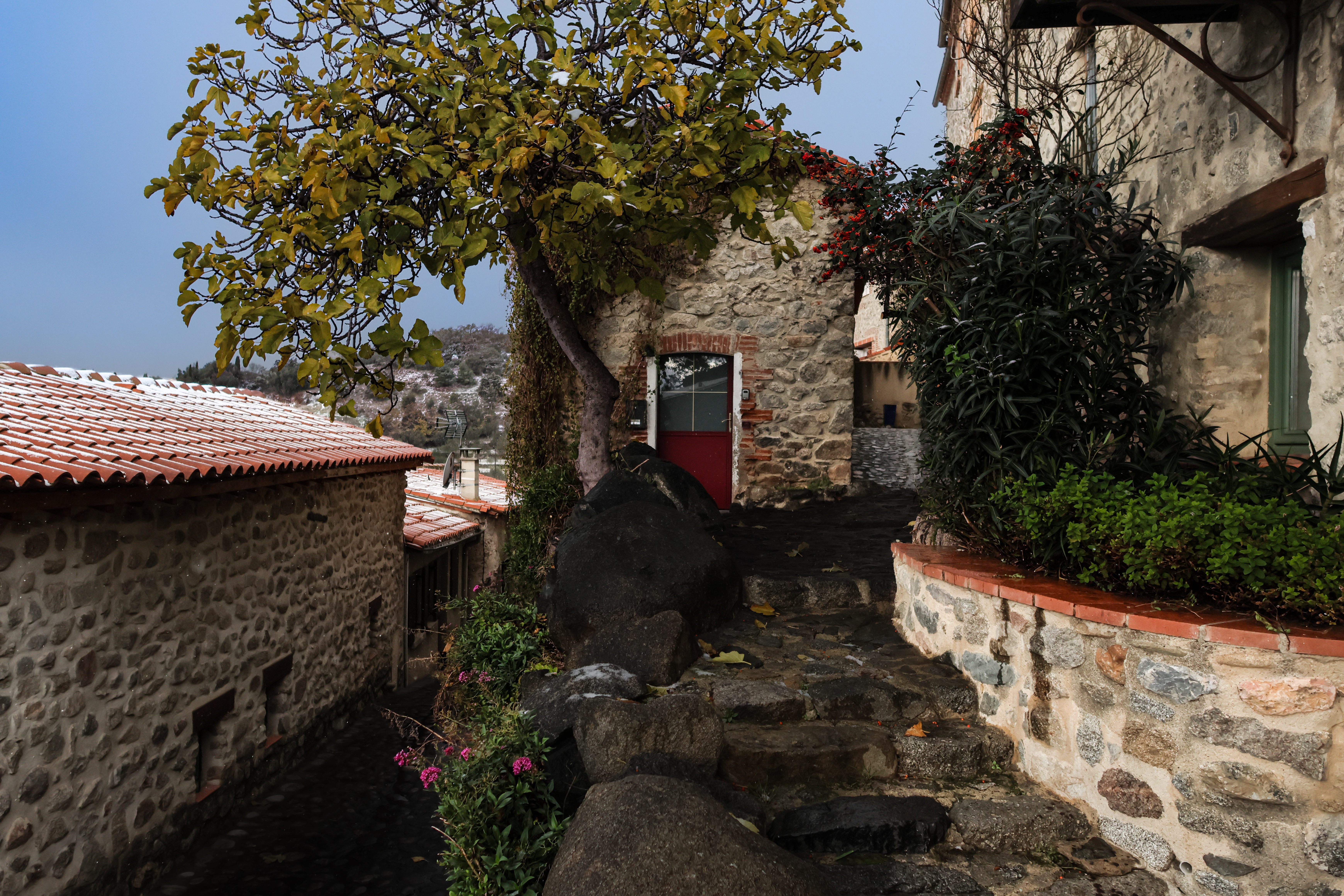 THE STONE HOUSE