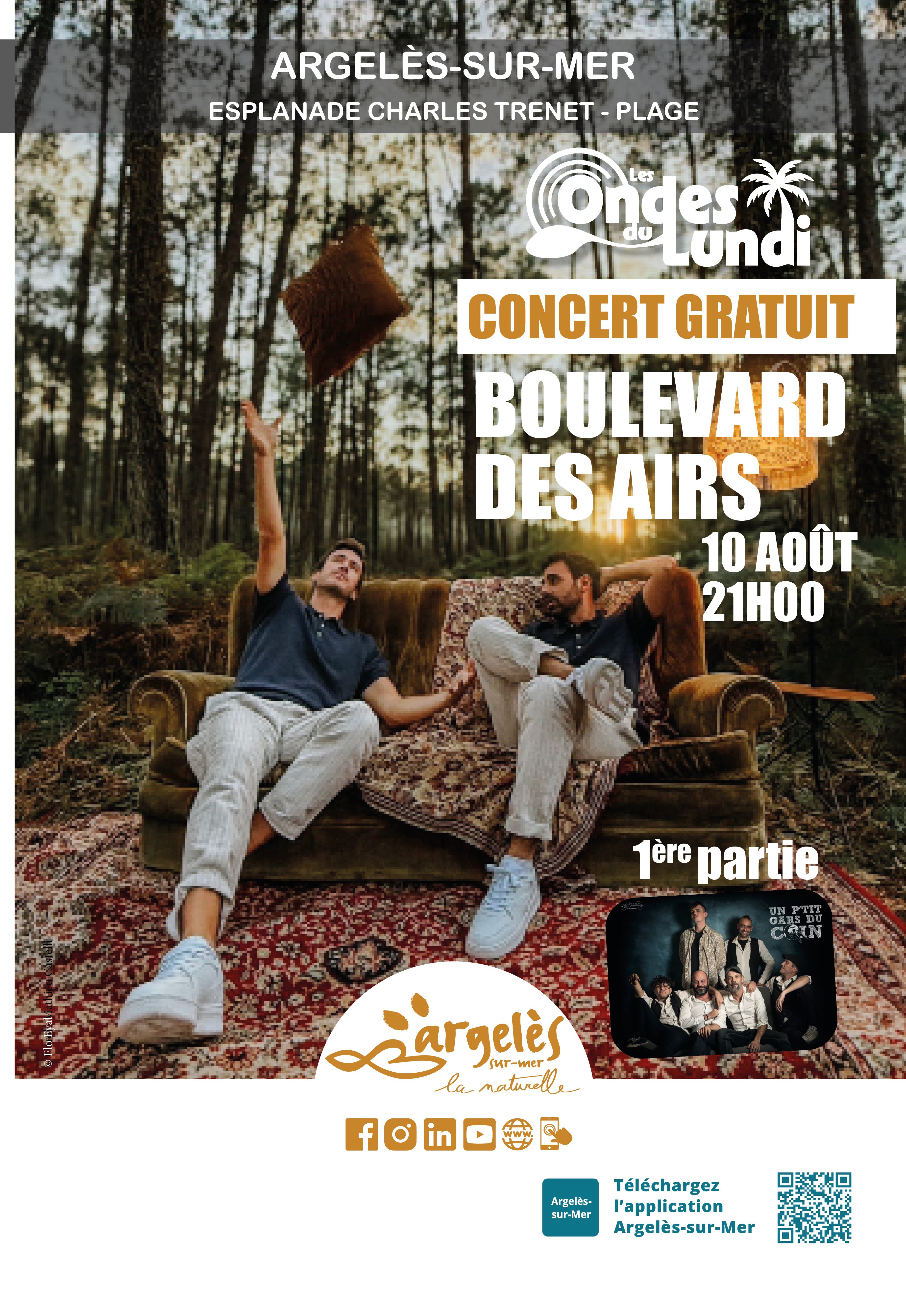 Boulevard des airs en concert