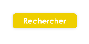 Bouton Rechercher