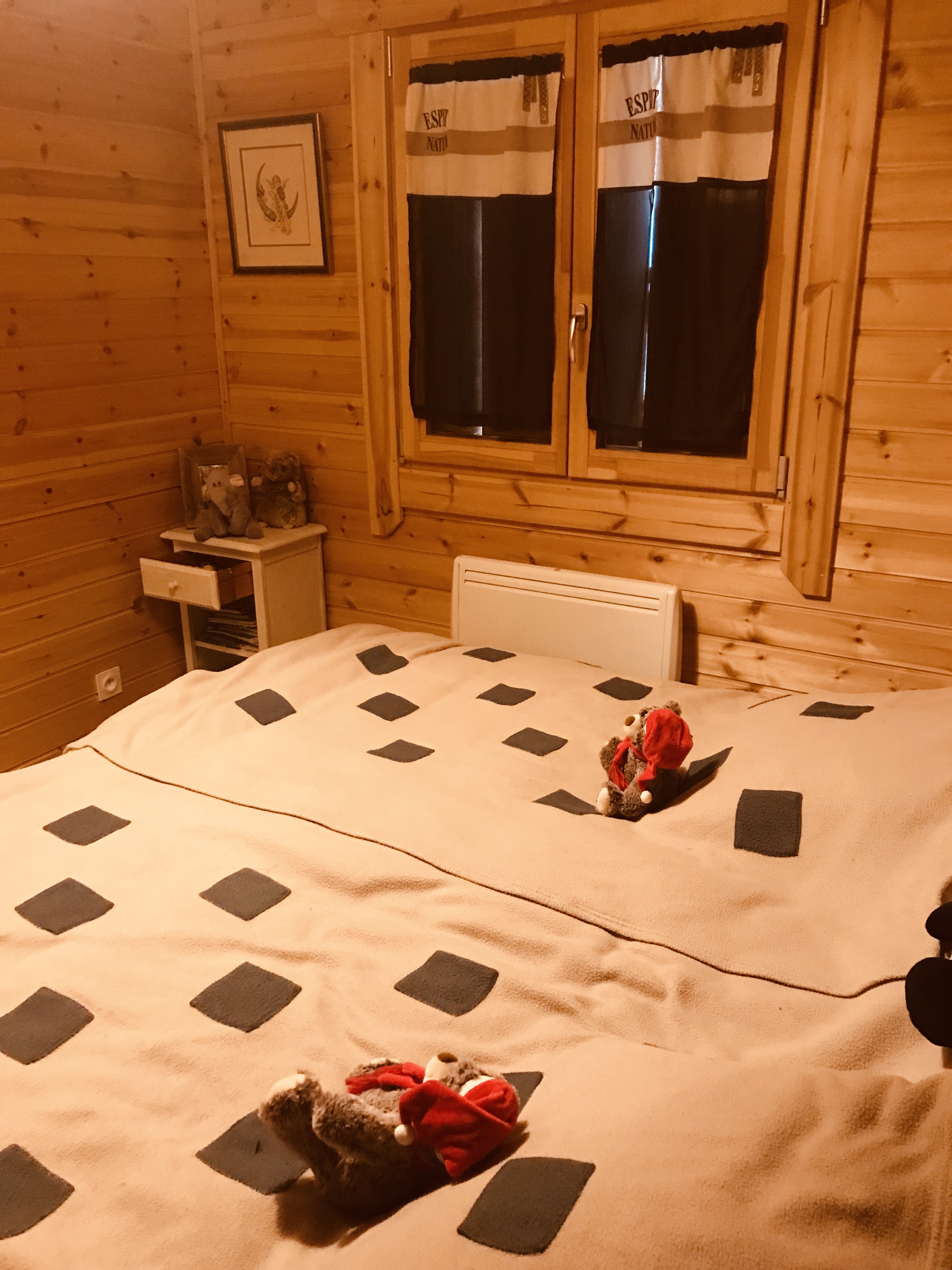 CHALET CERVUS, Font-Romeu-Odeillo-Via - photo 3