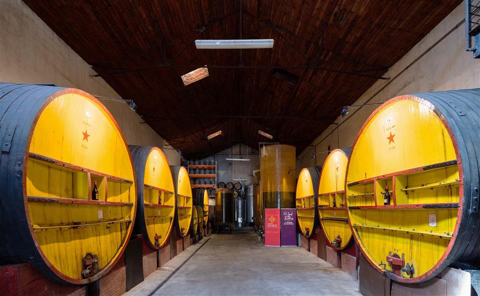 Vignoble en scene - degustation vieux millesimes a la cave de l’etoile