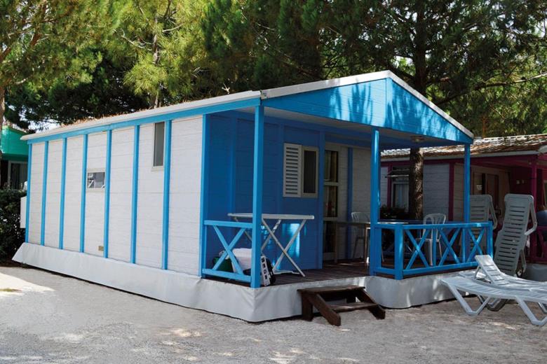 Calypso 6