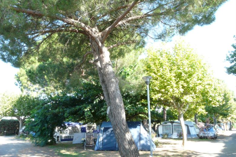 Camping Cap Sud 