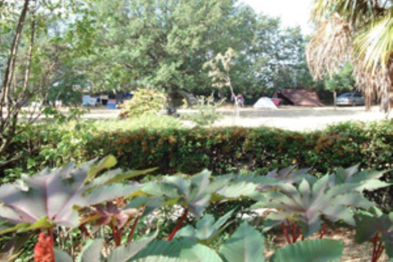 Camping La Mignane
