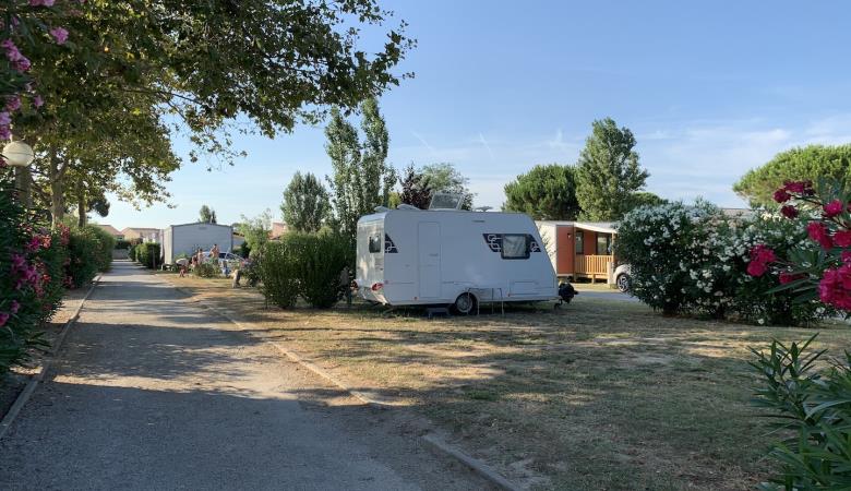 Camping Roussillon 