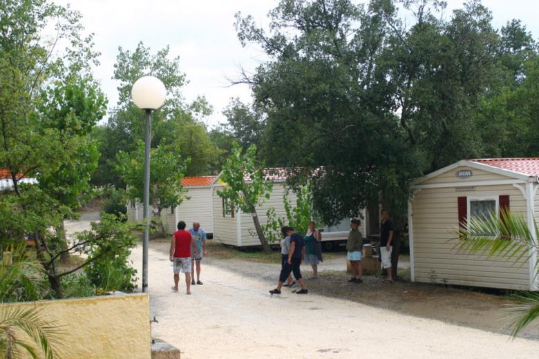 Camping les Bruyeres 5