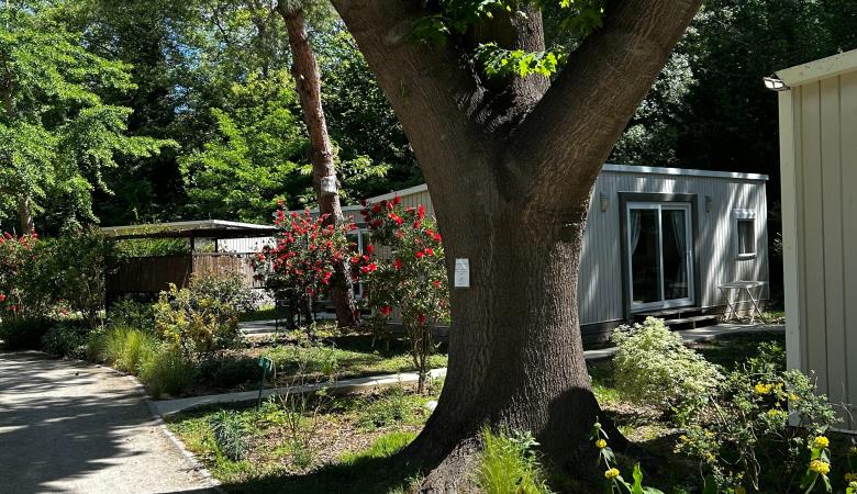 Camping les Portes du Canigou (2)