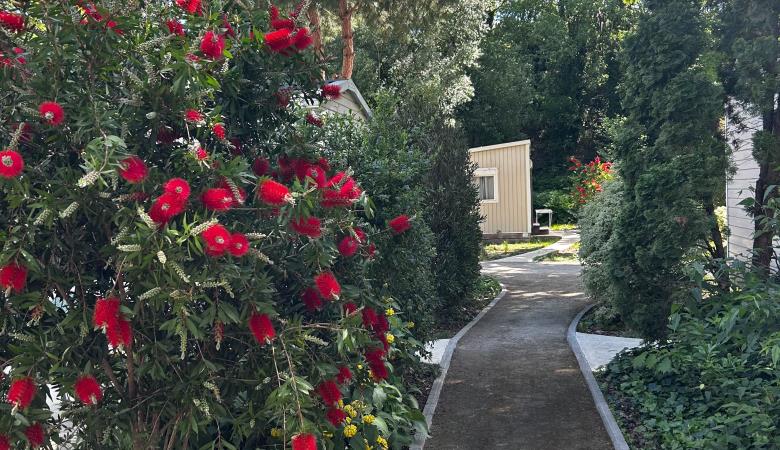 Camping les Portes du Canigou (4)