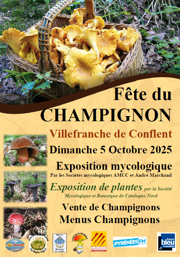FÊTE DU CHAMPIGNON