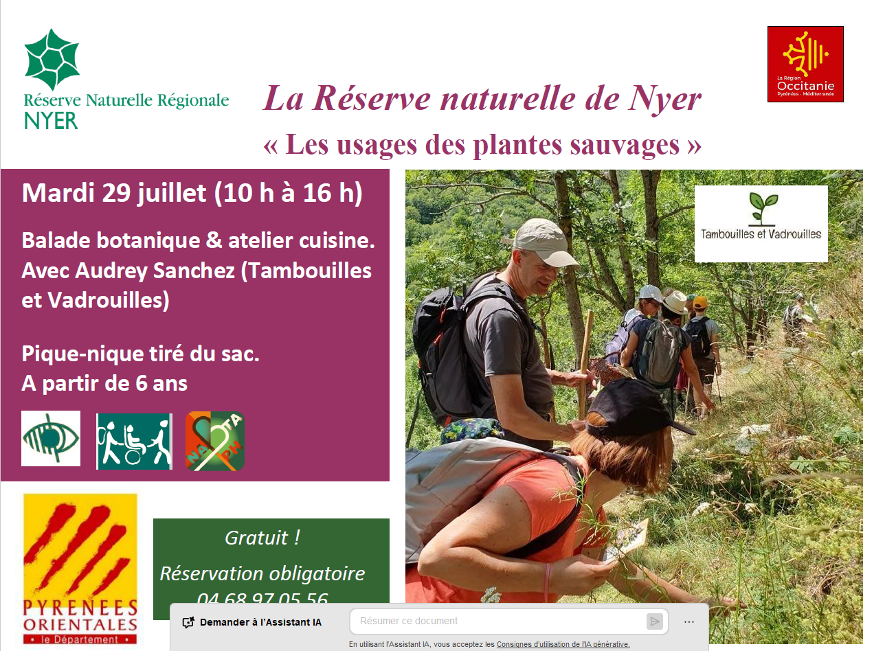 FESTIVAL NATURE : BALADE CONTEE POUR TOUS, USAGE DES PLANTES