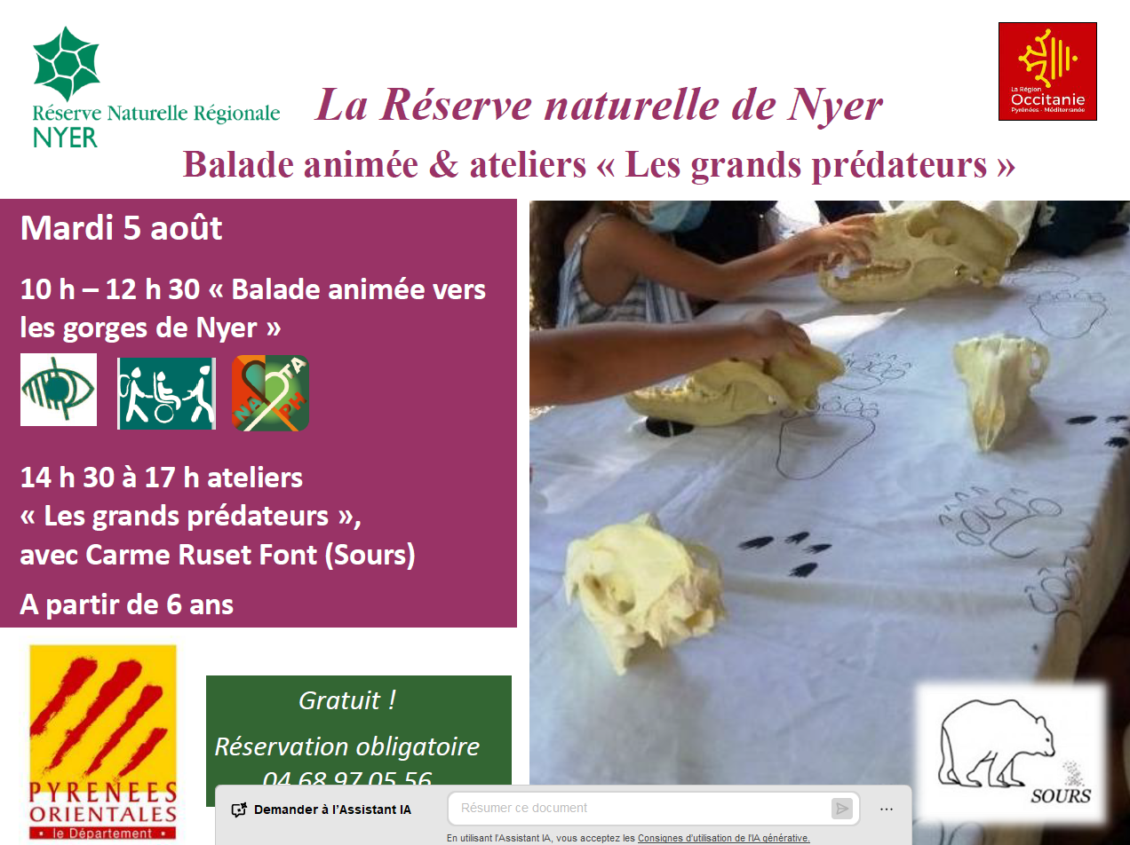 FESTIVAL NATURE : RANDONNEE POUR TOUS, LES GRANDS PREDATEURS