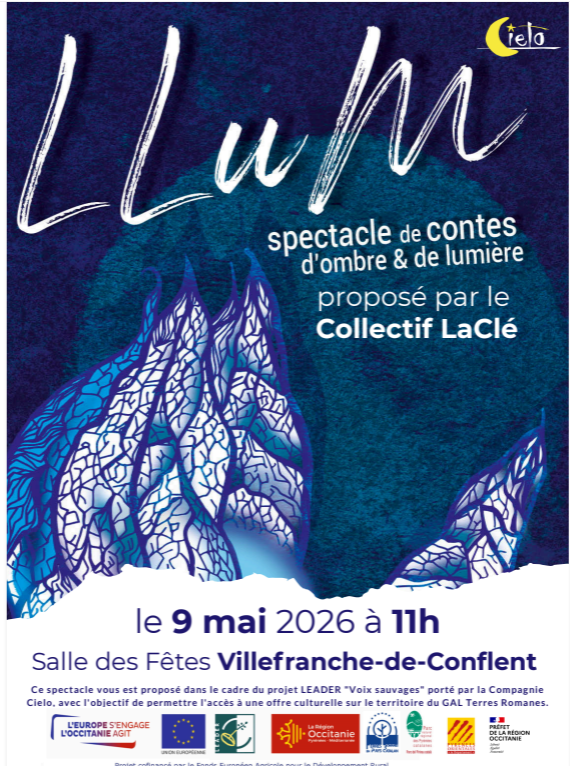 SPECTACLE LLUM