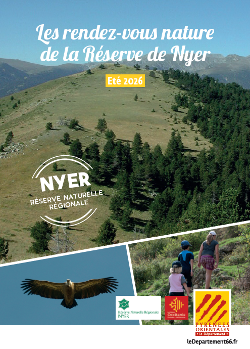 FESTIVAL NATURE : BALADE SOUTERRAINE