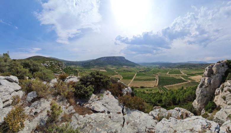 Catalan Wine Escape 2
