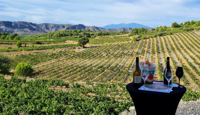 Catalan Wine Escape 4