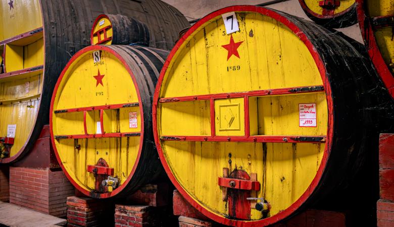 Cave l'Etoile 2025 (10)