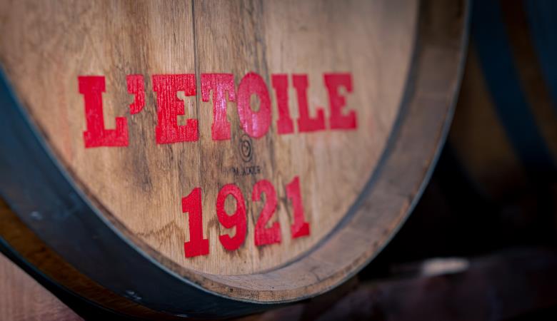 Cave l'Etoile 2025 (13)