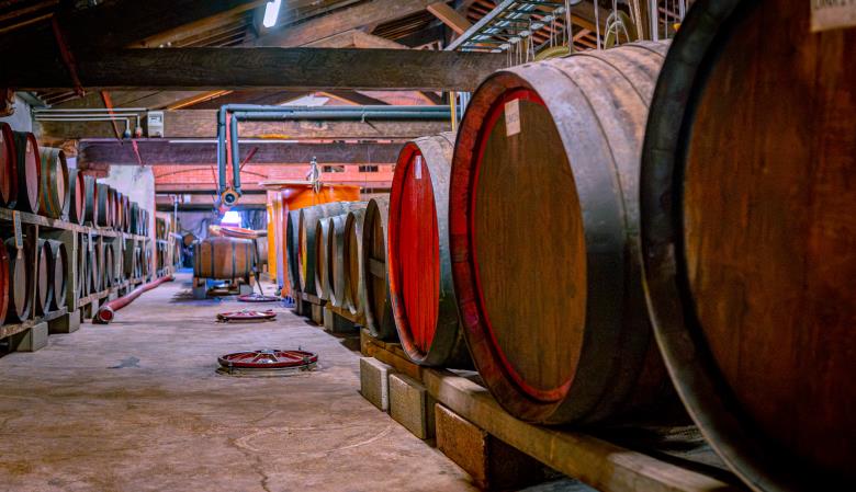 Cave l'Etoile 2025 (3)