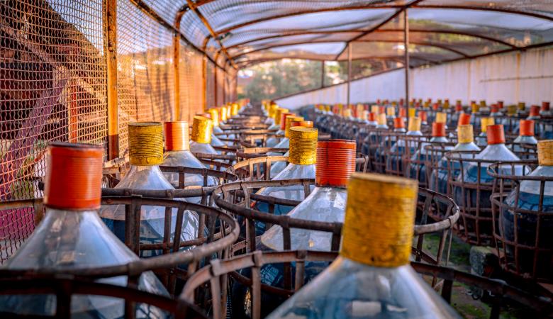 Cave l'Etoile 2025 (8)