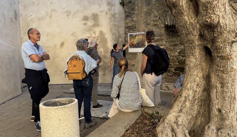 Chemin-du-fauvisme-collioure (16) Chemin-du-fauvisme-collioure (16)