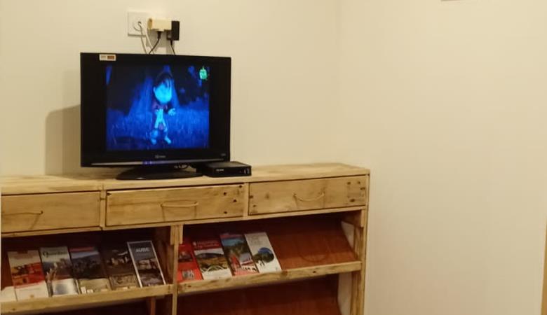Coin TV