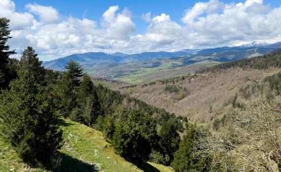 Col d'Ares 2025 (5) (1)