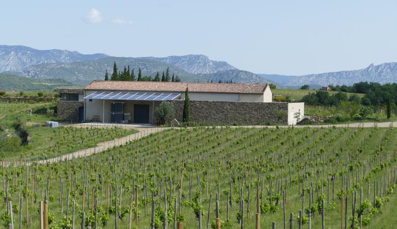 Copie de Cave
