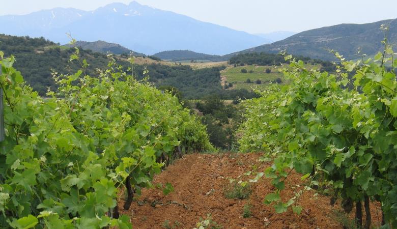 Reveilles et Canigou 25/6/2009