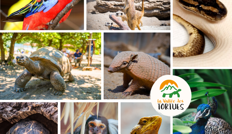 Copie de Visuel publi vacances été - 1