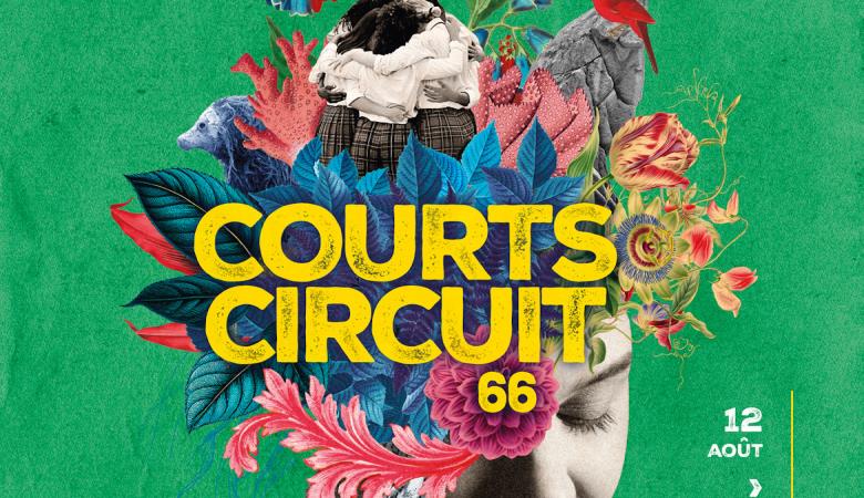 Courts-circuit-66