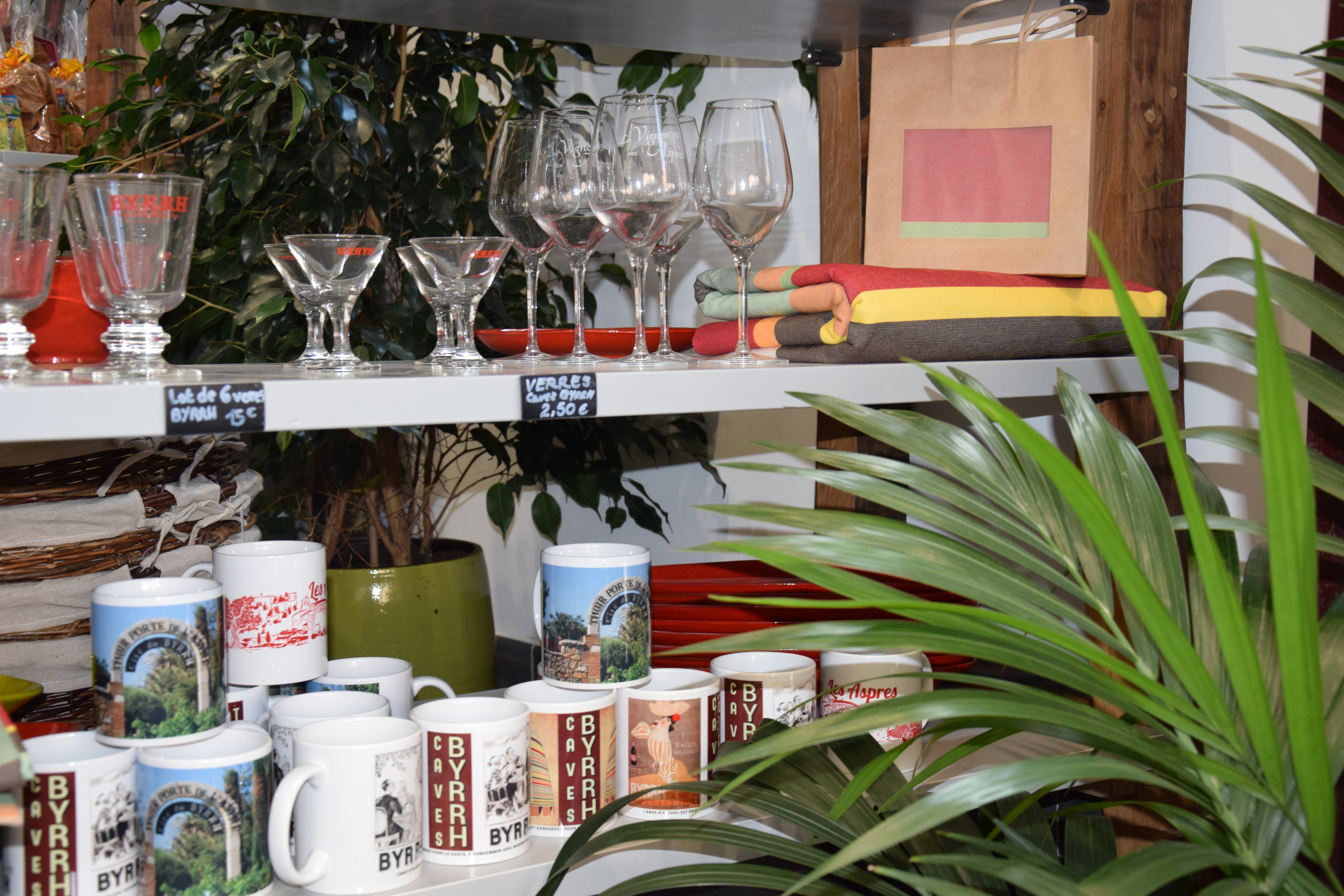 Aspres Thuir Empreinte Catalane