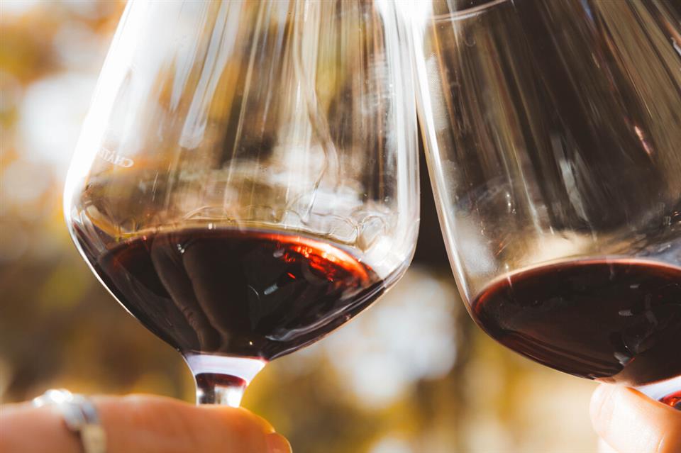 Aperitif vigneron au domaine villeclare