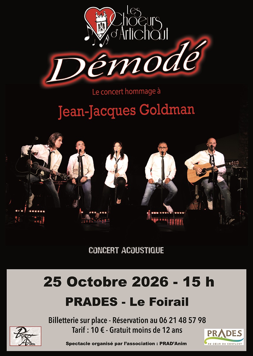 Démodé, concert hommage à jean-jacques goldman