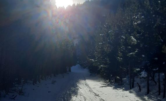Départ en foret au dessus du village - format carré