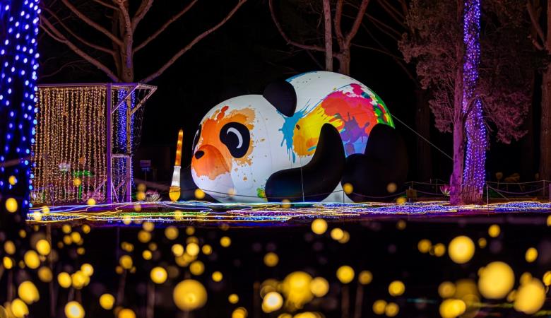 EVEIL-DES-LANTERNES-1