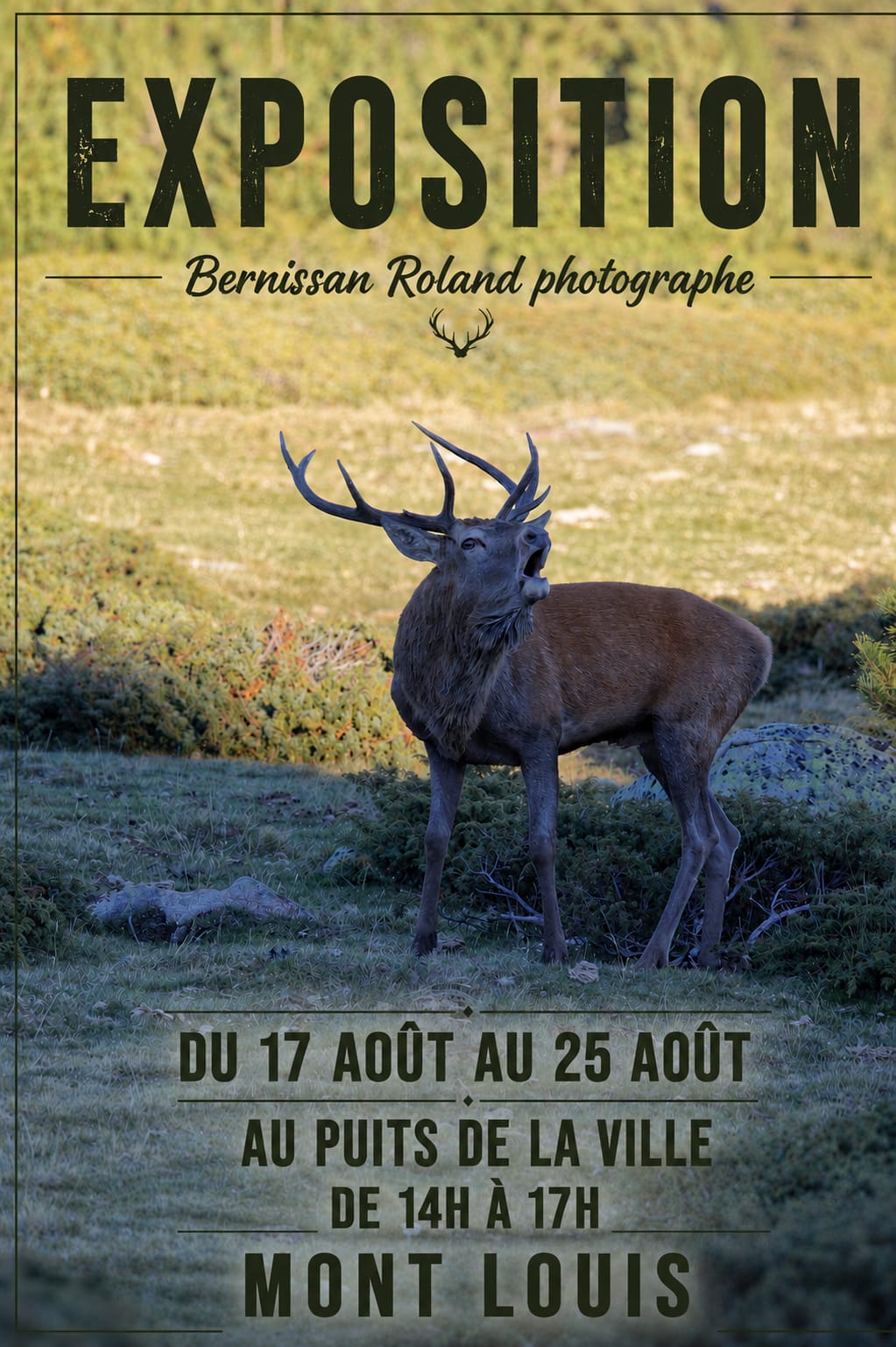 EXPOSITION BERNISSAN ROLAND PHOTOGRAPHE