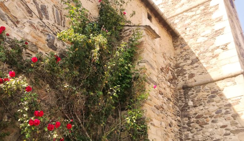 Eglise Ur 11