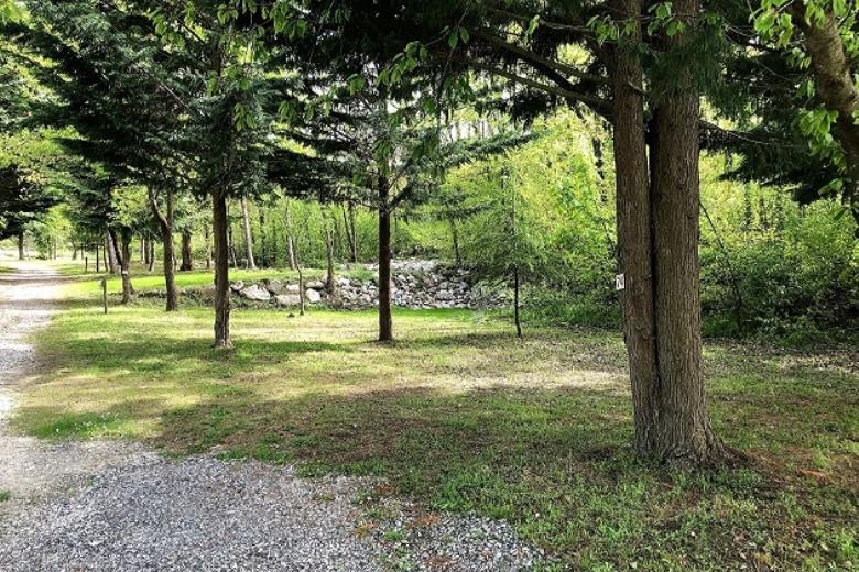 Emplacement Camping DEL BOSC 2 2