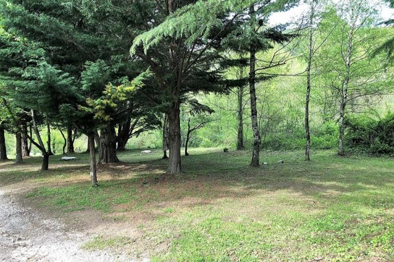 Emplacement Camping del bosc 2 bis