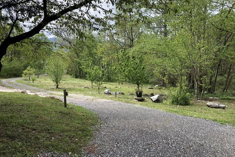 Emplacement Rivière Camping DEL BOSC 2