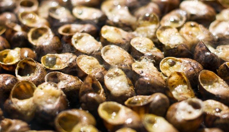 Escargots GF Banyuls_T Escargots GF Banyuls_T