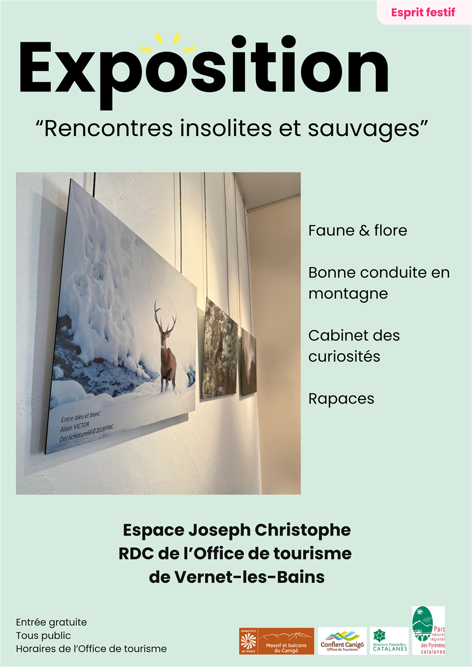 Exposition “rencontres insolites et sauvages”