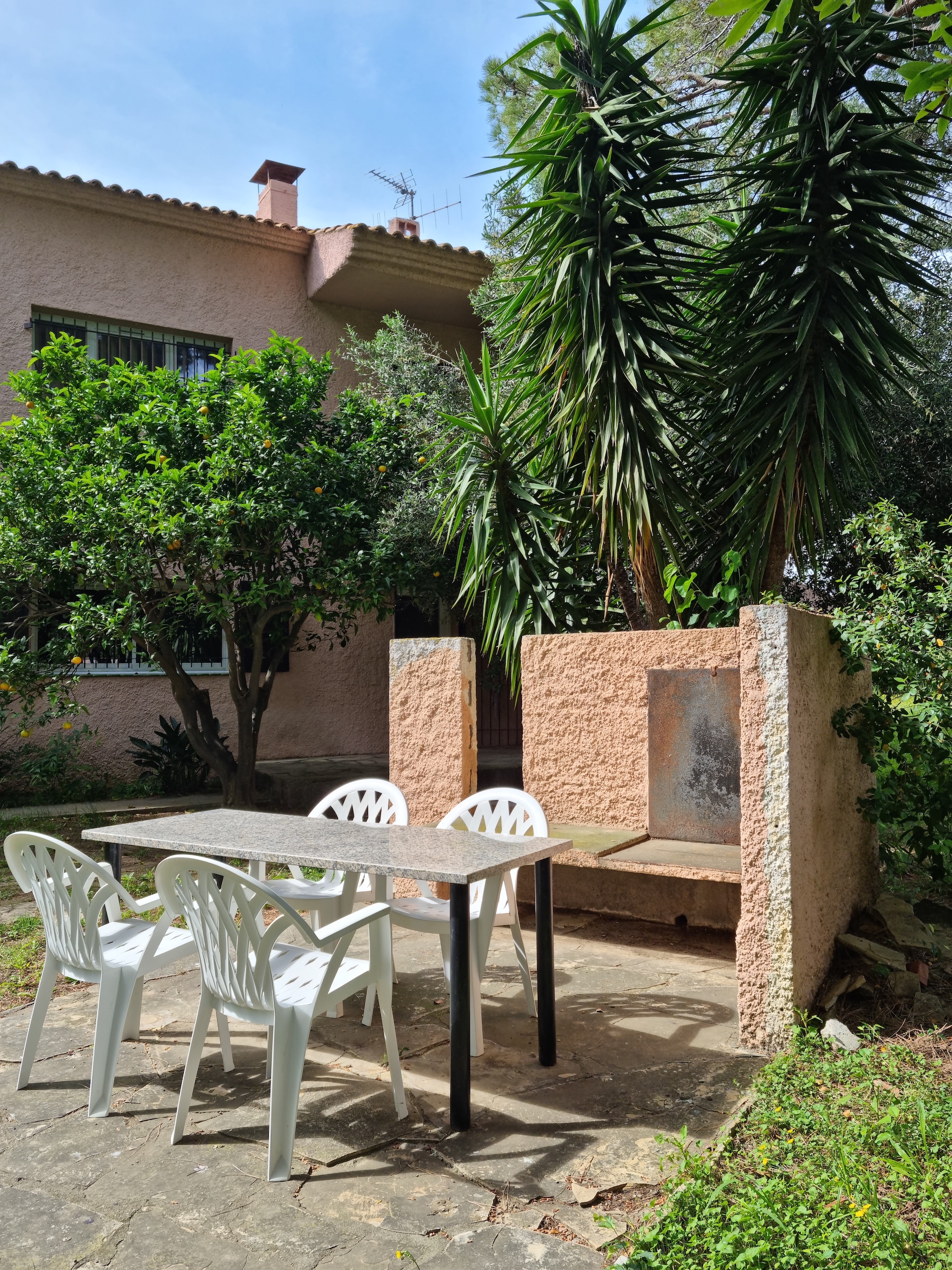 OL-YUCCA, Alénya - photo 2