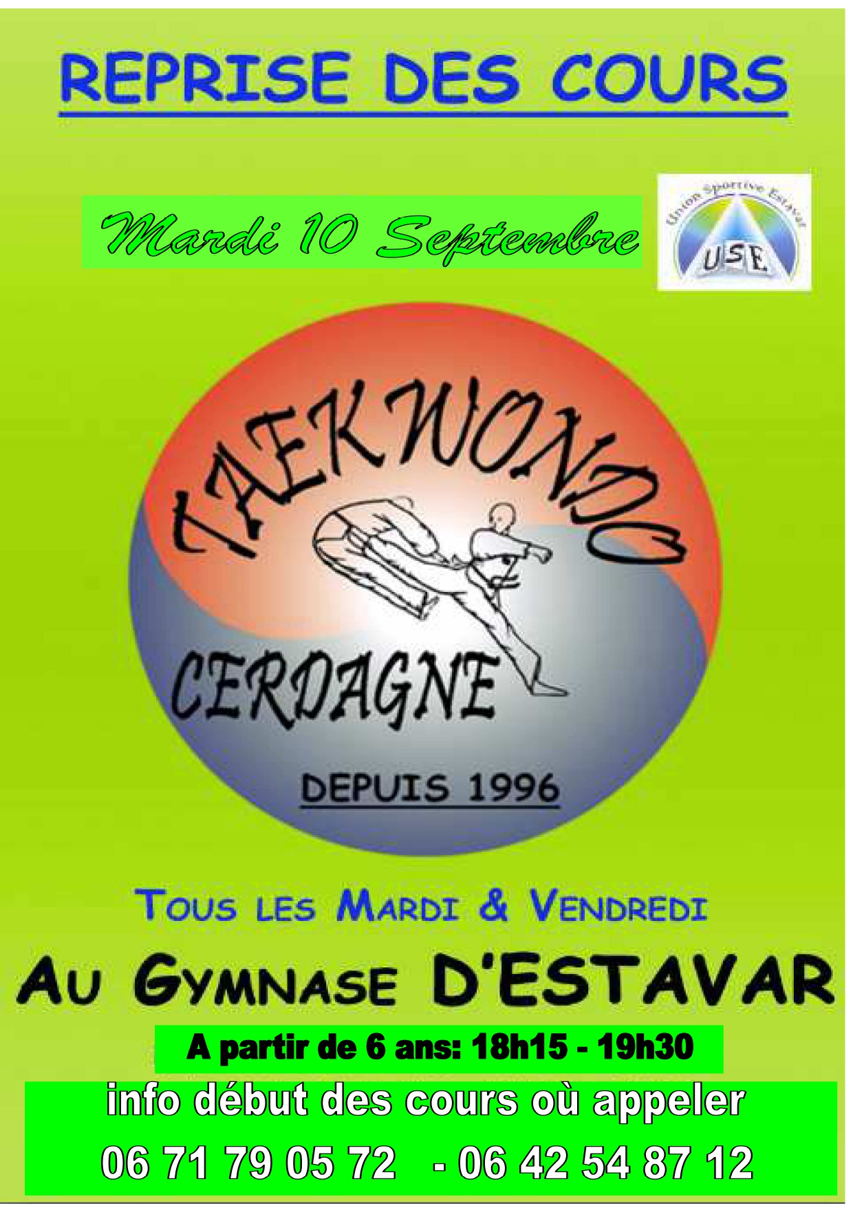 COURS DE TAEKWONDO – ESTAVAR