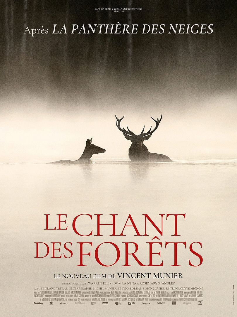 CINÉMA OSSÉJA – CYCLE DOCUMENTAIRE: LE CHANT DES FORÊTS