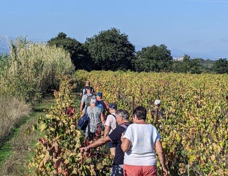 FASCINANT WEEK-END : DOMAINE MAS GREGORI "BALADE DINATOIRE DANS... Le 19 oct 2024