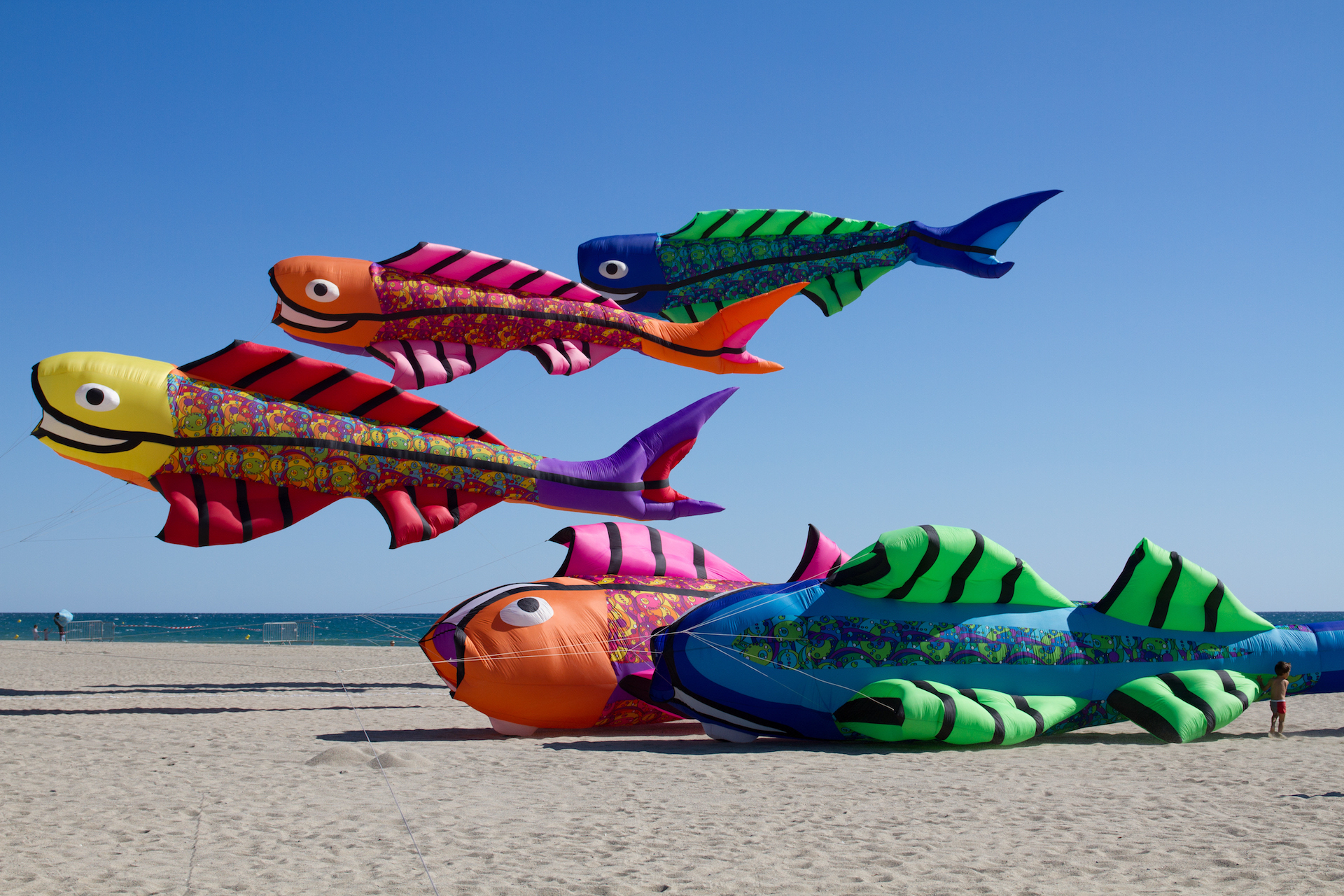 FESTIVAL DU CERF-VOLANT